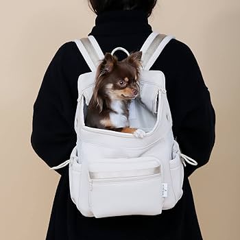 Amazon.co.jp: [citydog/シティドッグ] キャリーバッグ ネオプレーン